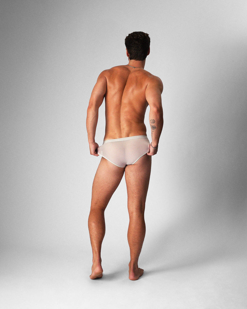 Allure Sheer Brief - Platinum
