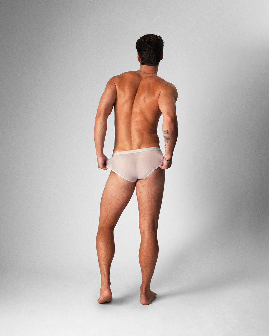 Allure Sheer Brief - Platinum