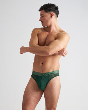 BRIEFS