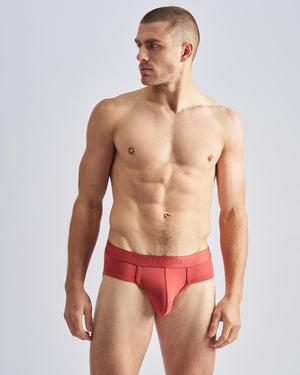 Reign Brief - Amber